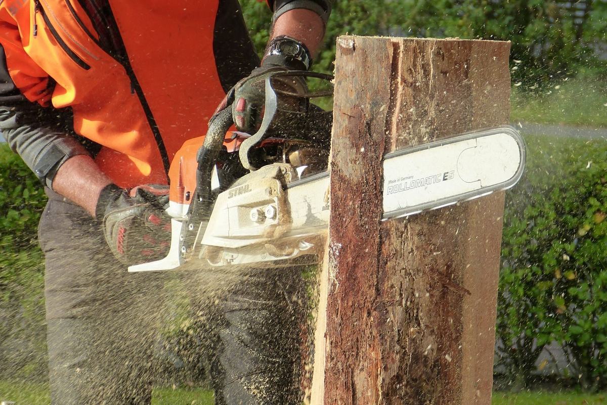 Teesside Tree Surgeons